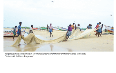 [BRIEFER] Offshore Wind Energy Projects in South India: Indigenous Coastal Communities Left in Dark